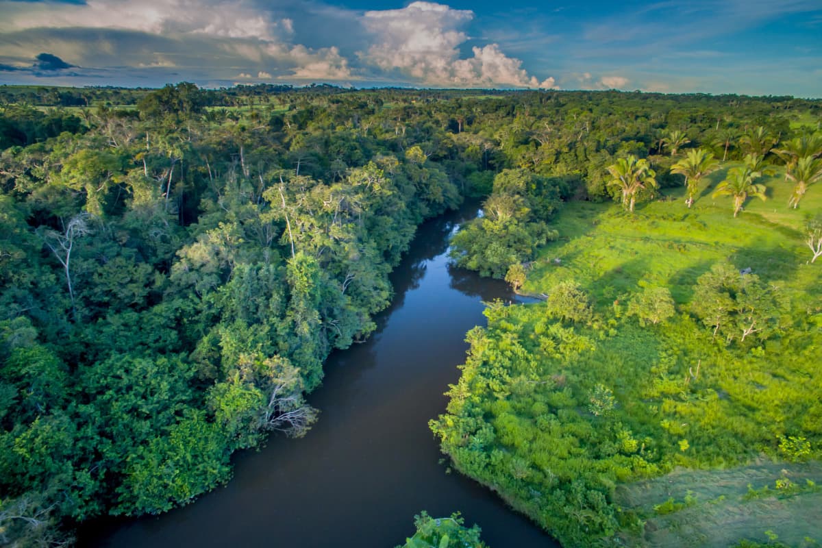 Destino: Amazônia